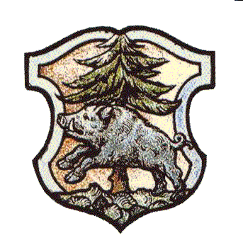 Wappen Geringswalde
